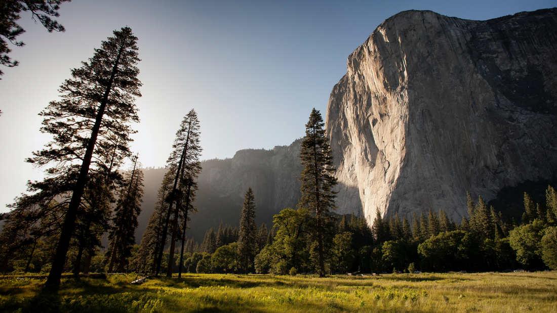 The Environmental Benefits of Filtration Systems